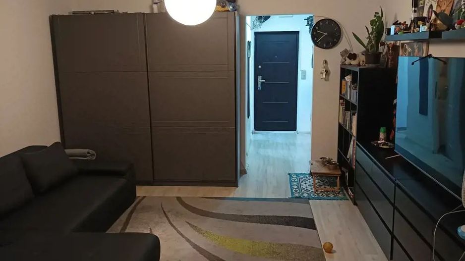 garsoniera - Lucretiu Patrascanu - Costin Georgian - Poză 2