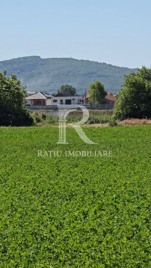 Teren Intravilan | 1780 mp | Sânmartin - Poză 5