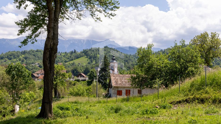 Moieciu de Jos |Teren 11.381 mp | Panoramă, potențial turistic - Poză 5