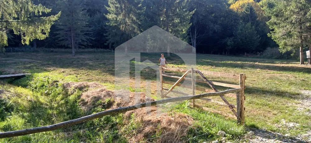 Teren Valea Avrigului- 900 mp- Intravilan+ Certificat de urbanism - Poză 6