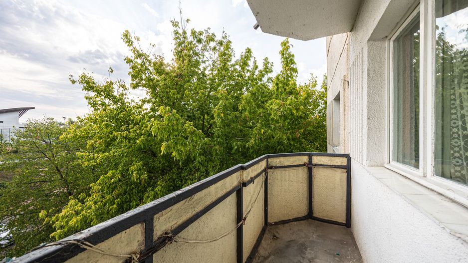 REZERVAT!Vedere directă spre faleza Mureșului, Micalaca 300 - Poză 7