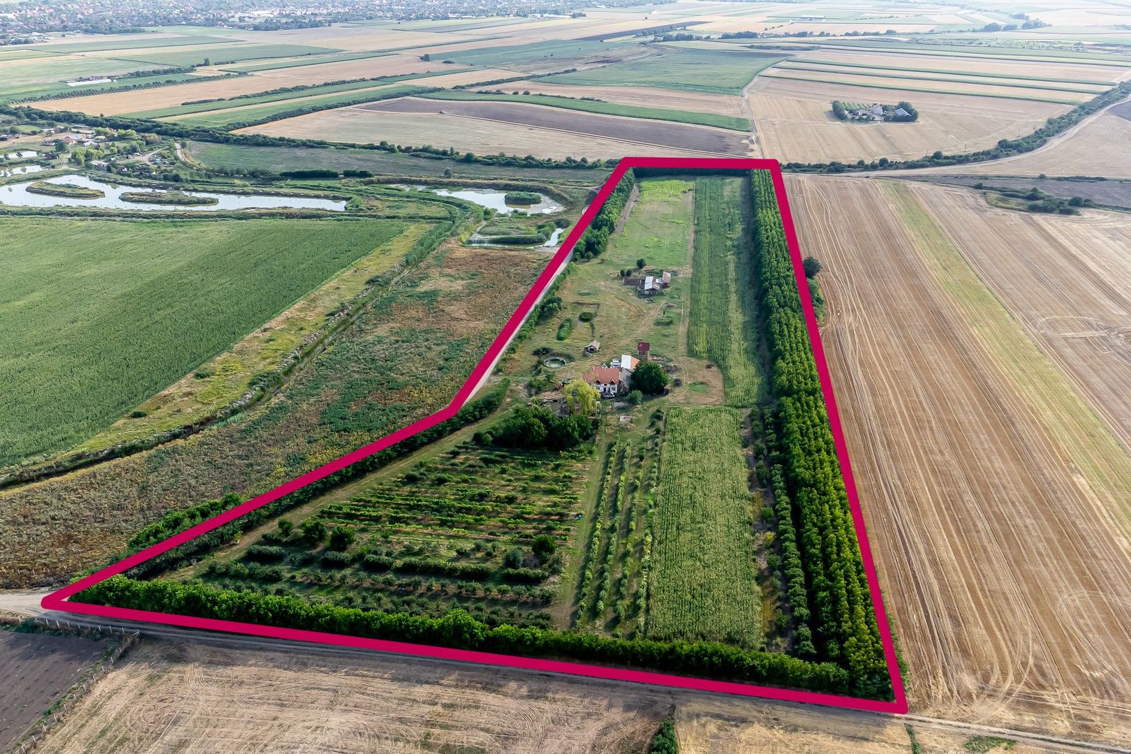 Preț nou! De vânzare teren 7.6 Ha în Pecica - Poză 1