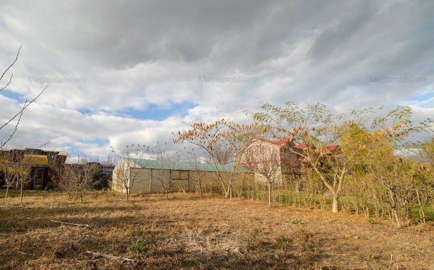 Vanzare ferma agricola Negru Voda - Constanta cu 240 hectare teren si utilaje - Poză 19
