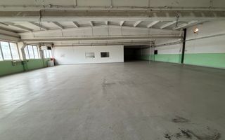 Hale de închiriat-zona străzii Corneliu Coposu - Poză 1