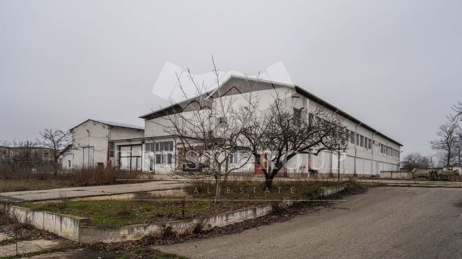 Teren 28.788m + Hale industriale + Sediu Firma - Poză 30