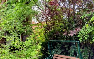 BREBU/PRAHOVA(cod04)-Casa P+1 zona mirifica - Poză 2