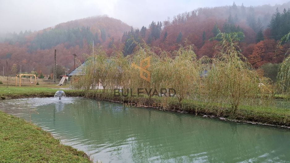 Proprietate cu potențial turistic în zona montană a Țării Lăpușului - Poză 4