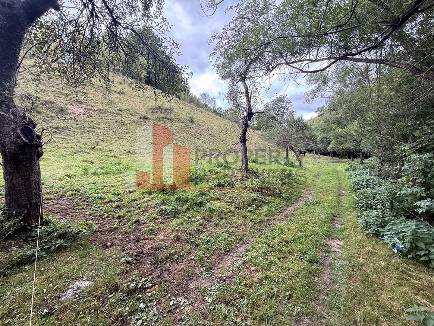 Teren de investiție în Moieciu, lângă Castelul Bran – 11.381 mp, vedere Bucegi - Poză 6