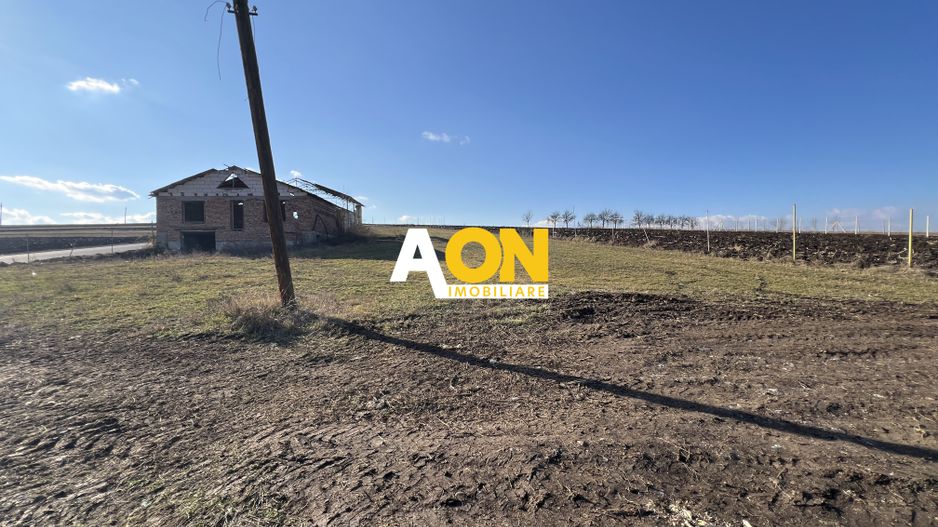 2,314 Mp in Daia Romana, toate utilitatile la asfalt, 80ml deschidere - Poză 2