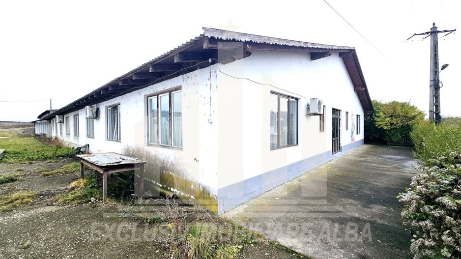 Spatiu industrial de inchiriat, Vintu de Jos - Poză 3