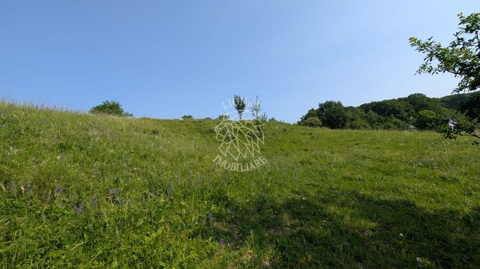 Oportunitate! Teren 500 mp extravilan, 1.4 km de centru, zona str Jelnei - Poză 3