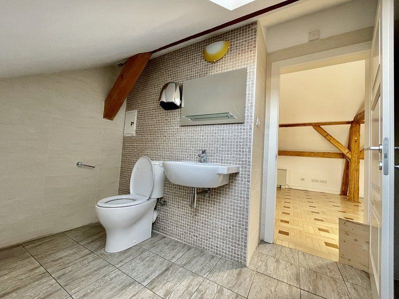 Spațiu Birou - Mansarda Cosy - Poză 7