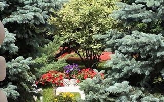 PROPRIETATE CU ENERGIE PURA |  Sanctuarul Eleganței și Rafinamentului - Poză 19