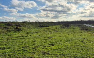 Vânzare, teren agricol, 222 ari, str. Mircea Cel Bun, Drochia - Poză 2