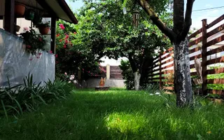 Oaza de liniste - Poză 40