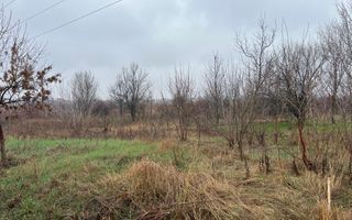 Teren la DN7 - ideal investitie (Benzinarie, spalatorie, hala, rezidential) - Poză 5