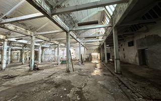 Fabrica si Teren pentru industrie – putere mare curent + gaze I Pucioasa - Poză 12