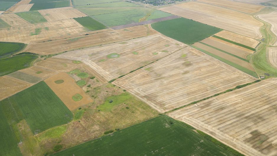 Teren arabil de 40 hectare în Zarand - Poză 3