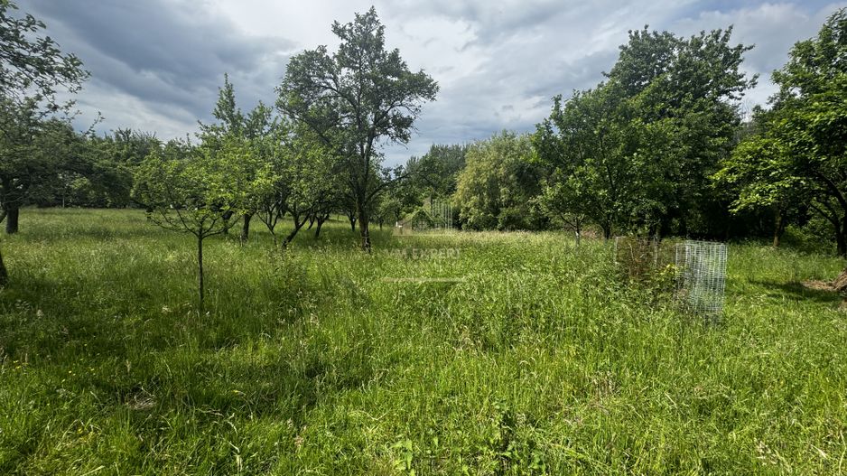 TEREN INTRAVILAN 4600 MP, VOINESTI, LERESTI, ARGEȘ - Poză 17