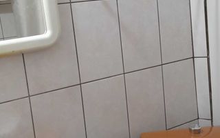 Apartament 2 camere de închiriat, Păcurari, zona Mega Image - Poză 7