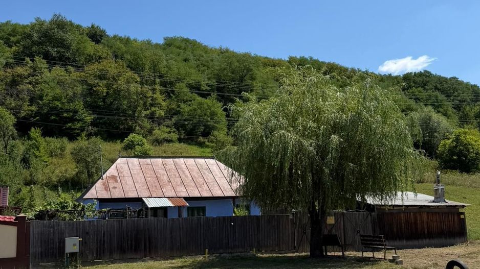 🏡 CASĂ BĂTRÂNEASCĂ DE VÂNZARE – SĂNDULENI,  💥 Comision 0% - Poză 1