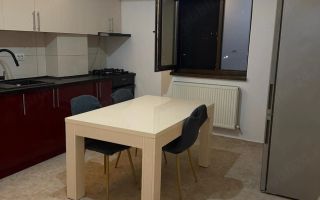 Apartament 2 camere decomandat, renovat, Strada Pepinierii nr. 73, Valea Adâncă - Poză 5