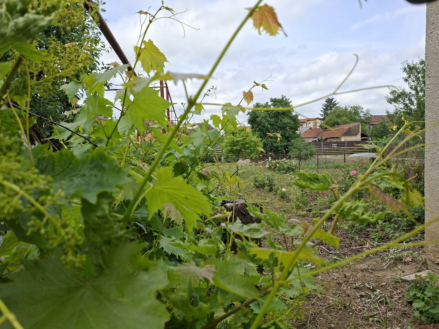 BRASADAS vinde casa individuala 8 cam 8.6a zona Baritiu. - Poză 22