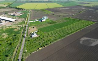 Livadă de nuci și pruni 2.4ha în Variașul Mare - Poză 12