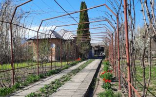 Casa de vanzare/Balcesti/Valcea/Str Pietii - Poză 16