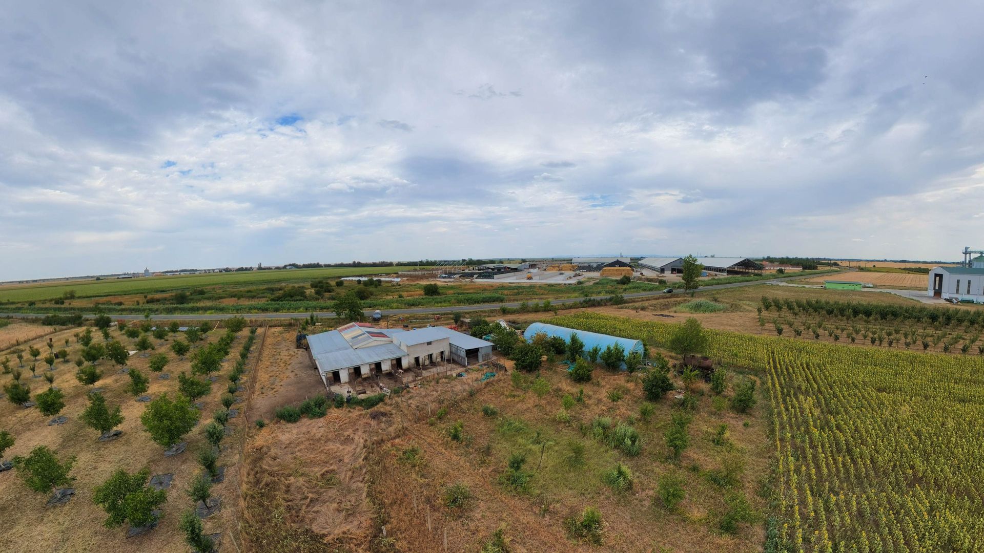Livadă de 3,6 hectare în Iratoșu – Oportunitate - Poză 9