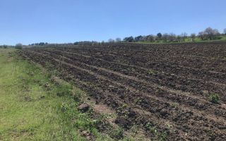 Spre vânzare , teren agricol, 15 ari, com. Bulboaca, Aneni Noi - Poză 8