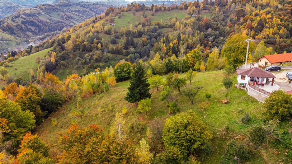In arena Parcului Natural Piatra Craiului, Magura, Moieciu, Brasov - Poză 7