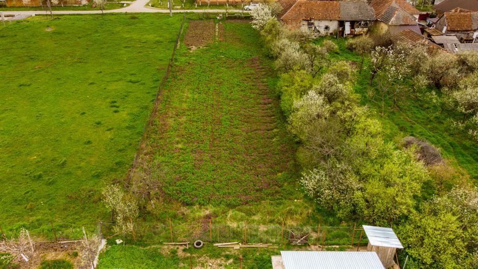 Teren de 1316mp în Frumușeni. - Poză 16