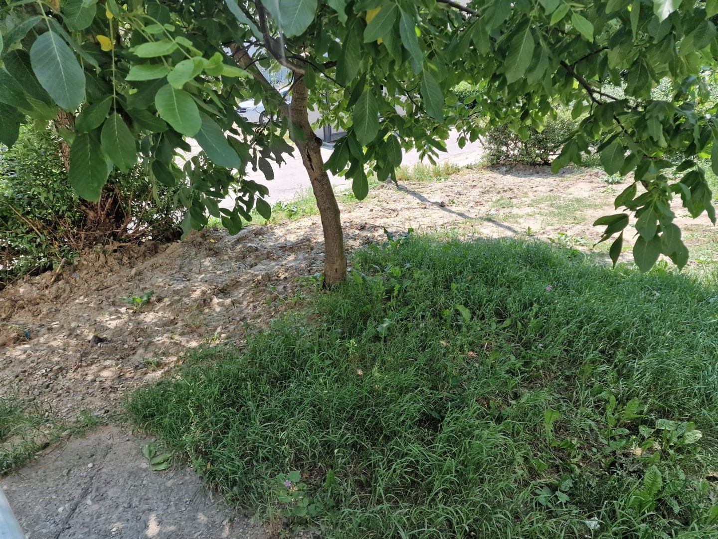 țApartament cu 2 camere de vânzare în zona Mioritei - Poză 16