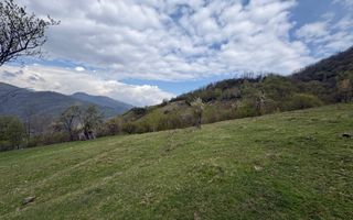 Teren de vânzare, 7750 mp I Orientare sudică I Caineni - Poză 2
