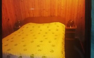 CASA 4 CAMERE, TEREN 290 MP, RUCAR, ARGES - Poză 10