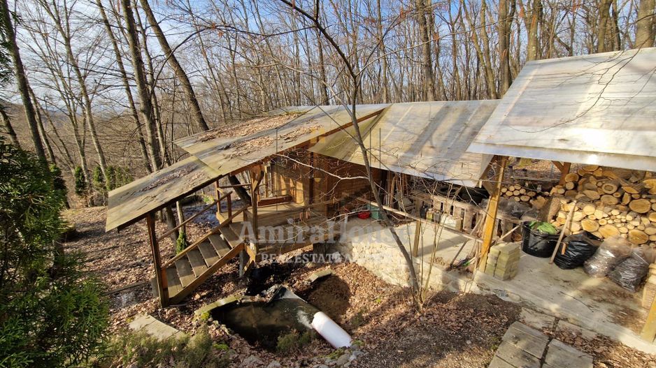 Casa din lemn D+P+M de 400 mp utili si teren 3.000 mp zona Faget - Poză 39