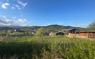 TEREN INTRAVILAN 2500 MP GRUI CAMPULUNG - Poză 3