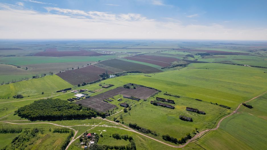 Teren de 69188 mp în Seceani - Poză 5