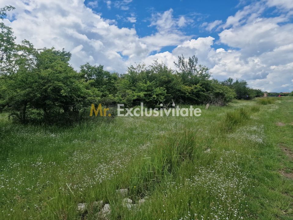 0% Comision!!! Teren intravilan Smeura - str Prunilor! - Poză 2