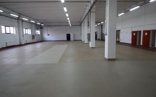 Hala productie    - Calea Torontalului de vanzare - Poză 3
