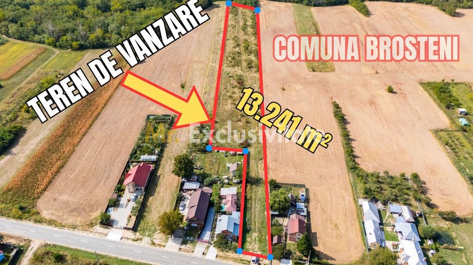 🏭 Teren industrial 13.241 mp | Costești, Argeș - Poză 1
