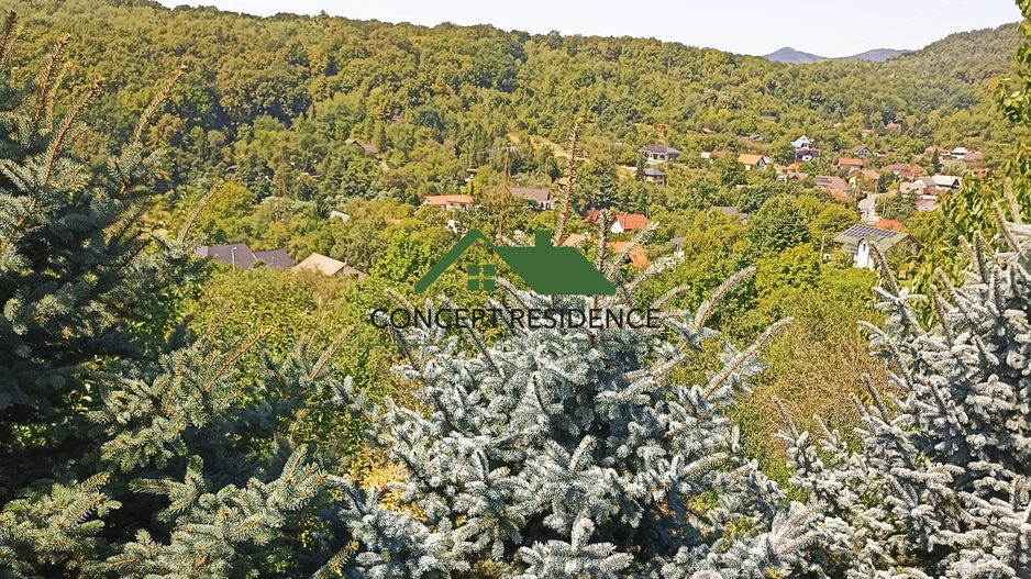 Vilă P+M, 10 ari teren, panoramă superbă – Valea Borcutului - Poză 14