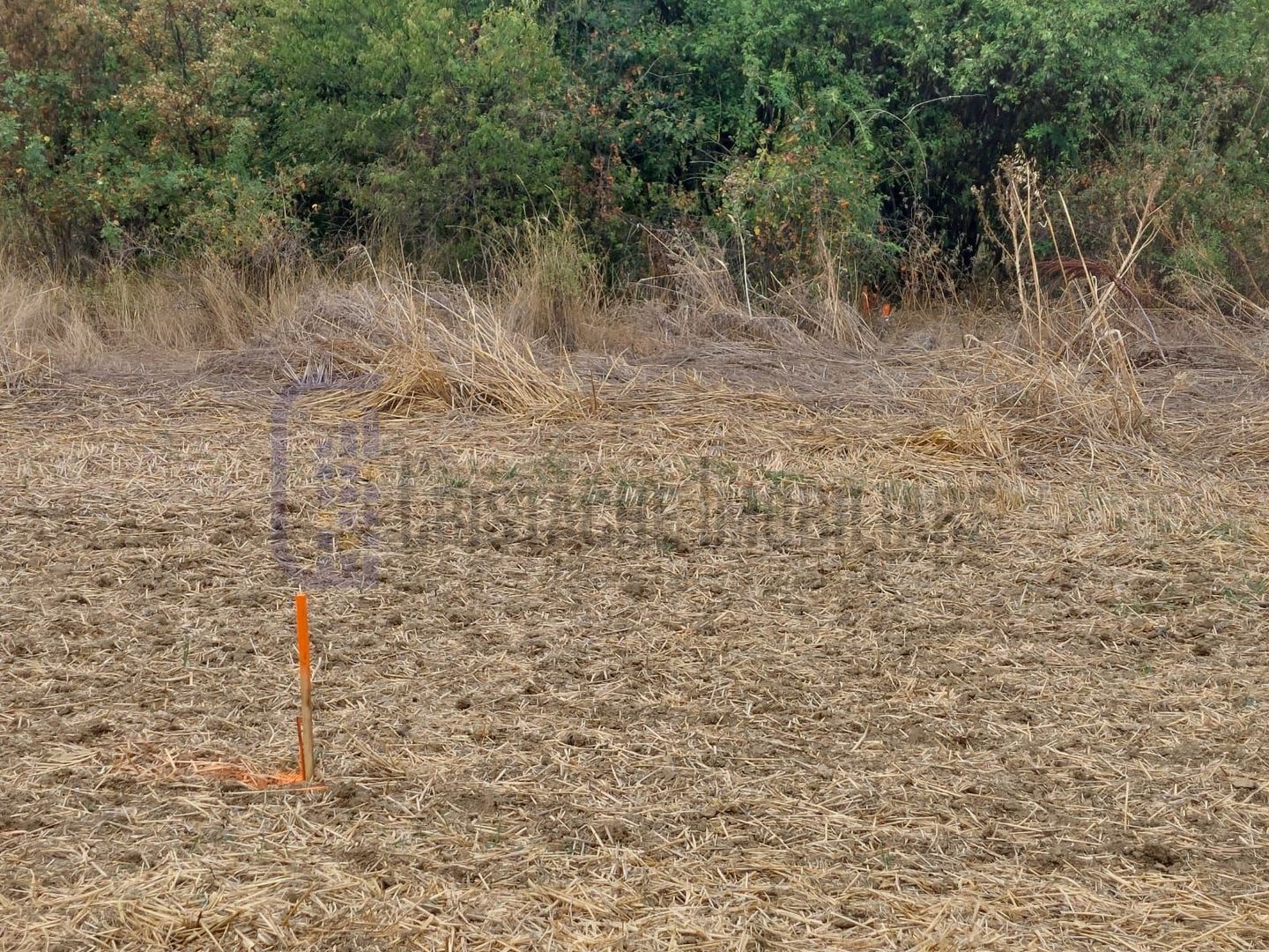 Teren intravilan, 527 mp, deschidere la strada de 17 mp_Teghes (Domnesti) - Poză 1