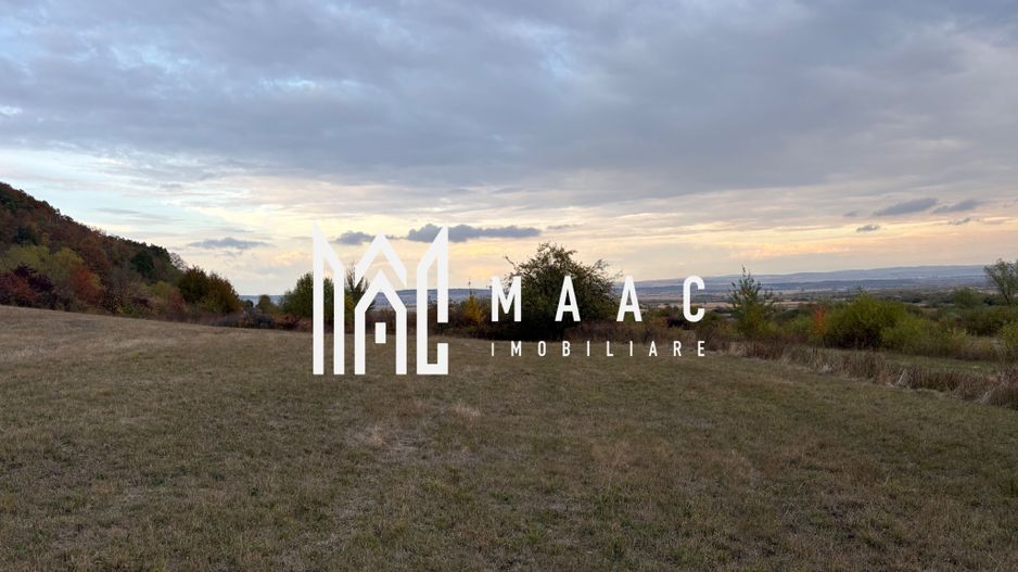 Teren de vânzare 5.000 mp | Poplaca | lângă pădure - Poză 5
