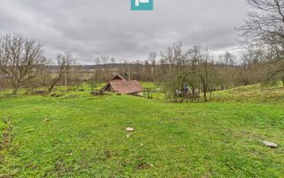 Casă cu teren de 24.679,73 mp, în Hălmagiu, Arad - Poză 14