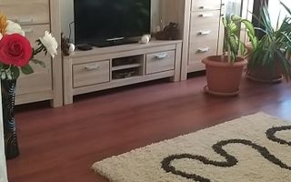 Lumina (cod04)-Vila P+1 mobilata utilata - Poză 5