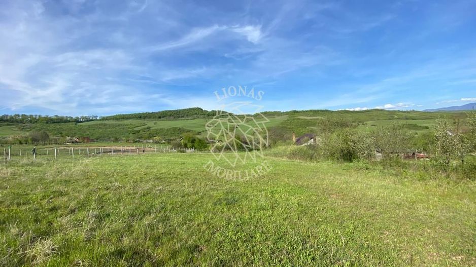 Teren 2160 mp - pretabil pentru cabana - investitie - Jelna - Poză 2