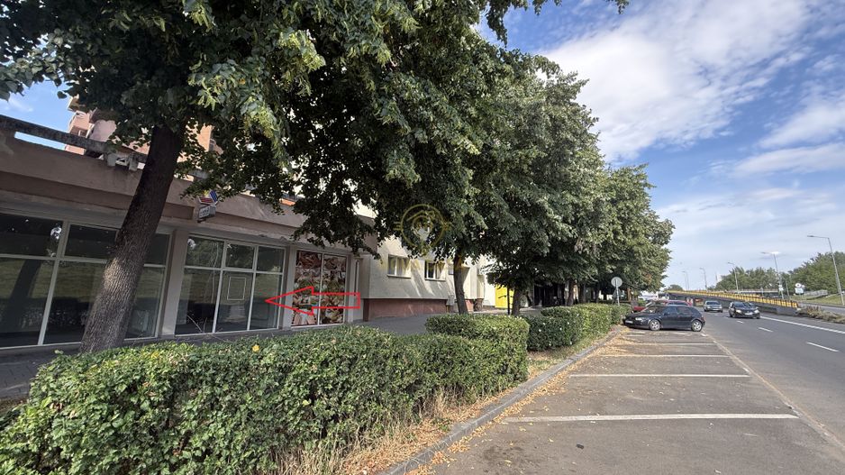 Spatii de Birouri/Comerciale de Inchiriat Bulevardul Transilvania - Poză 1