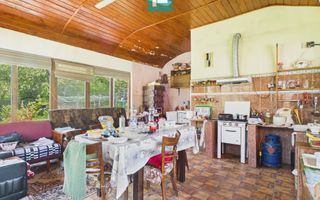 Casă Câmpani, 8000 mp teren, la poalele Apusenilor - Poză 8